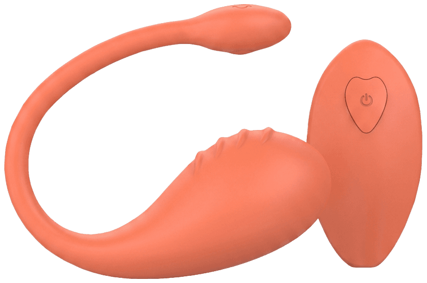 The Egg Vibrator with its looped tail and matching remote